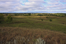 Sheepberry Fen