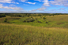 Sheepberry Fen