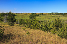 Sheepberry Fen