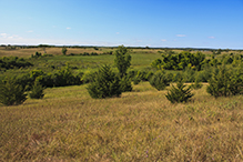 Sheepberry Fen