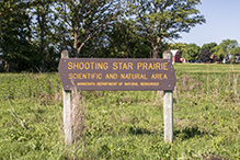 Shooting Star Prairie SNA