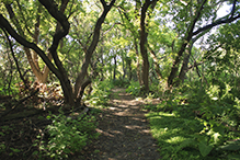 Split Rock Creek State Park