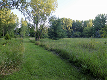 Tony Schmidt Regional Park