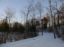 Tony Schmidt Regional Park