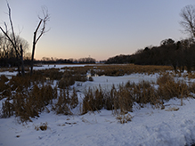 Tony Schmidt Regional Park