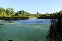 Tony Schmidt Regional Park