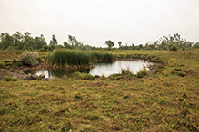 Twin Valley Prairie Addition