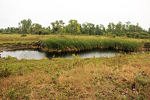 Twin Valley Prairie Addition