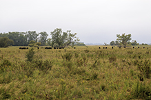 Twin Valley Prairie Addition