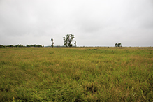 Twin Valley Prairie Addition