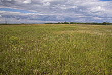 Twin Valley WMA, North Unit