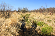 Whitetail Woods Regional Park