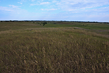 Yellow Bank Hills SNA