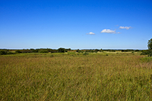 Zimmerman Prairie