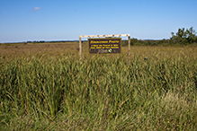 Zimmerman Prairie