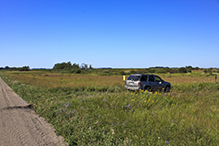 Zimmerman Prairie