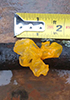 Witches’ Butter