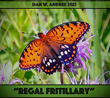regal fritillary