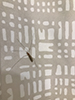limoniid crane fly (Discobola annulata)