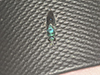 metallic bluish-green cuckoo wasp
