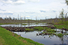 beaver dam beaver dam