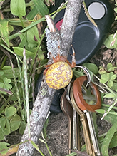 Click to enlarge marbled orbweaver 30