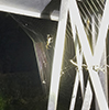 stretch spider