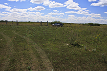 Felton Prairie SNA, Blazing Star Unit