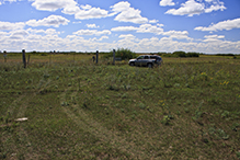 Felton Prairie SNA, Blazing Star Unit