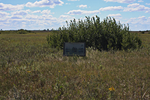 Felton Prairie SNA, Blazing Star Unit