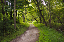 French Regional Park
