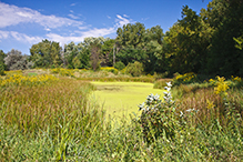 French Regional Park