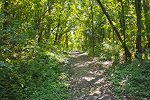 French Regional Park