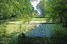 Liable Woods