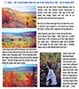 Superior Hiking Trail, Crosby-Manitou State Park to Caribou Falls State Wayside