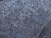 Cinder Lichen