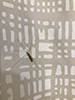limoniid crane fly (Limonia annulata)