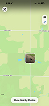 Blanding’s Turtle 19
